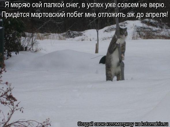 Я меряю сей палкой снег, в успех уже совсем не верю. Придётся мартовский побег мне отложить аж до ап... Котоматрица: Я меряю сей палкой снег, в успех уже совсем не верю. Придётся мартовский побег мне отложить аж до апреля!