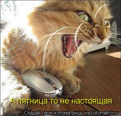 А пятница то не настоящая... Котоматрица: А пятница то не настоящая