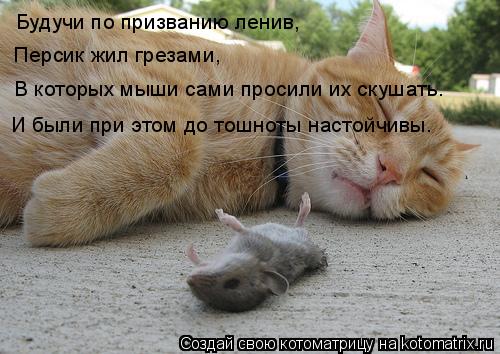 Будучи по призванию ленив, Персик жил грезами, В которых мыши сами просили их скушать. И были при это... Котоматрица: Будучи по призванию ленив, Персик жил грезами, В которых мыши сами просили их скушать. И были при этом до тошноты настойчивы.