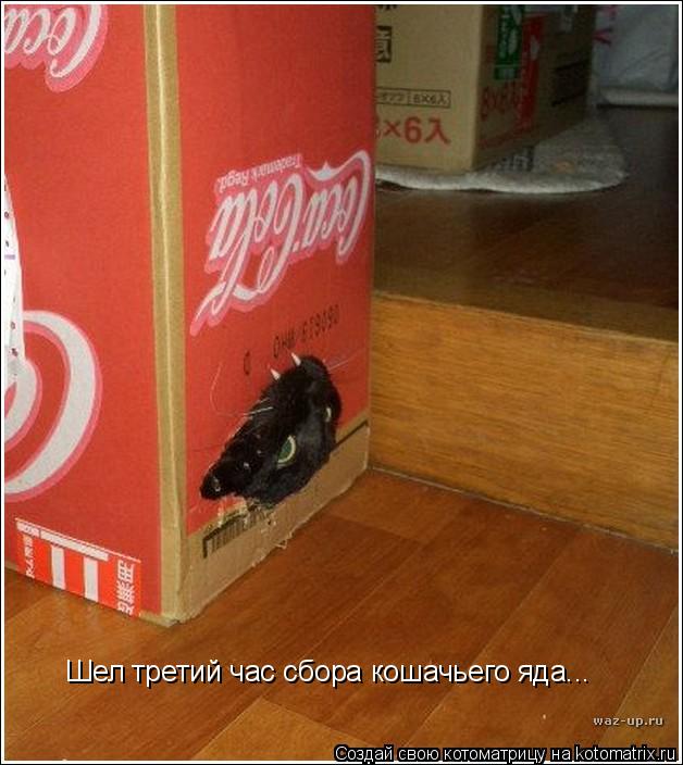 Шел третий час сбора кошачьего яда...... Котоматрица: Шел третий час сбора кошачьего яда...