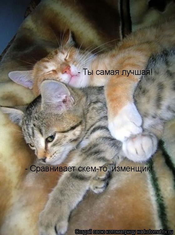 - Ты самая лучшая! - Сравнивает скем-то, изменщик!... Котоматрица: - Ты самая лучшая! - Сравнивает скем-то, изменщик!