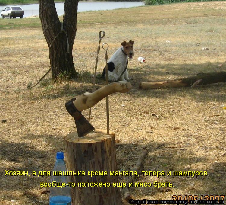 Хозяин, а для шашлыка кроме мангала, топора и шампуров вообще-то положено еще и мясо брать.... Котоматрица: Хозяин, а для шашлыка кроме мангала, топора и шампуров вообще-то положено еще и мясо брать.