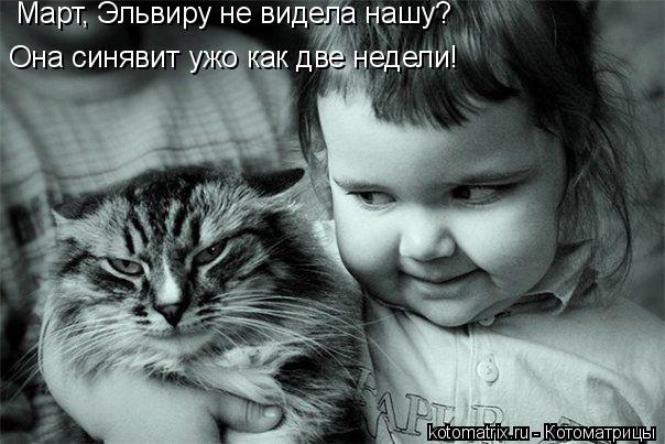 Март, Эльвиру не видела нашу? Она синявит ужо как две недели!... Котоматрица: Март, Эльвиру не видела нашу? Она синявит ужо как две недели!