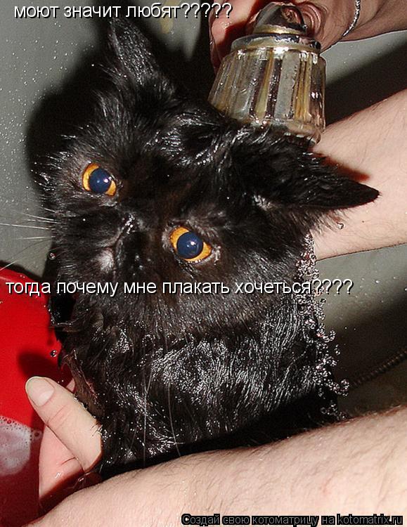 моют значит любят????? тогда почему мне плакать хочеться????... Котоматрица: моют значит любят????? тогда почему мне плакать хочеться????