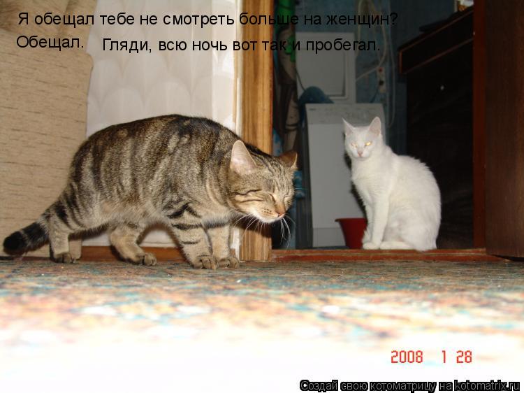 Я обещал тебе не смотреть больше на женщин? Обещал. Гляди, всю ночь вот так и пробегал.... Котоматрица: Я обещал тебе не смотреть больше на женщин? Обещал. Гляди, всю ночь вот так и пробегал.