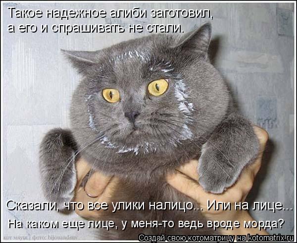 Такое надежное алиби заготовил, а его и спрашивать не стали. Сказали, что все улики налицо... Или ... Котоматрица: Такое надежное алиби заготовил, а его и спрашивать не стали. Сказали, что все улики налицо... Или на лице... На каком еще лице, у меня-то ведь