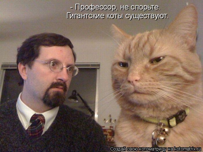 - Профессор, не спорьте. Гигантские коты существуют.... Котоматрица: - Профессор, не спорьте. Гигантские коты существуют.