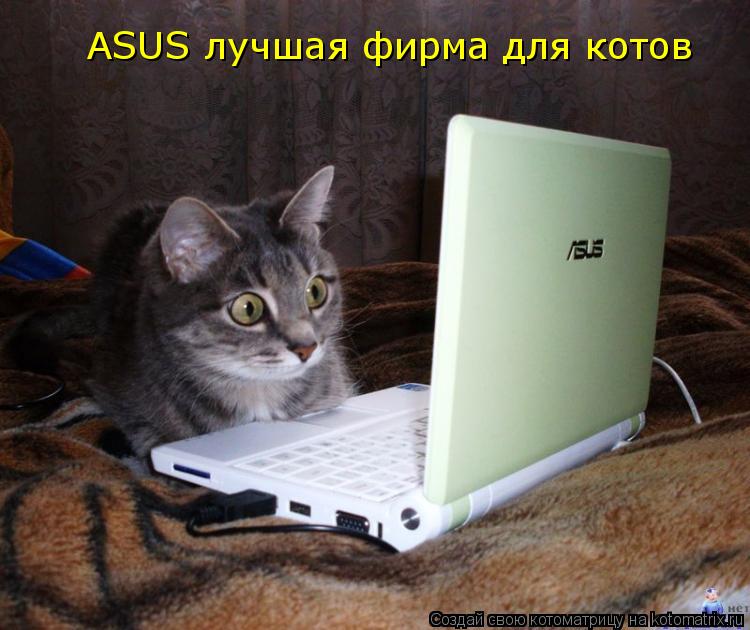 ASUS лучшая фирма для котов... Котоматрица: ASUS лучшая фирма для котов
