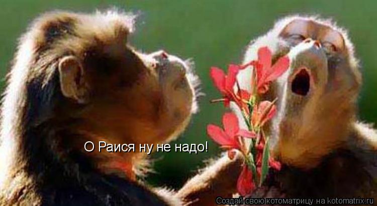О Раися ну не надо!... Котоматрица: О Раися ну не надо!