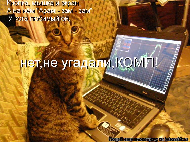 Котоматрица: Кнопка, мышка и экран, А на нём "Арам - зам - зам" У кота любимый он, нет,не угадали,КОМП!