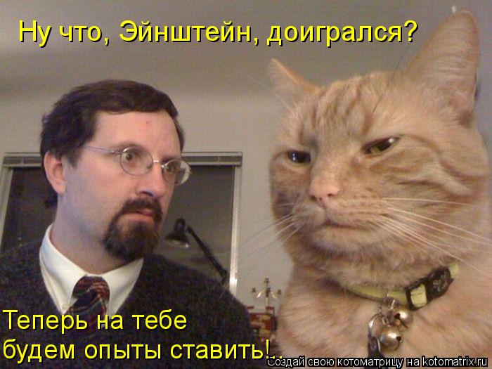 Ну что, Эйнштейн, доигрался? Теперь на тебе будем опыты ставить!..... Котоматрица: Ну что, Эйнштейн, доигрался? Теперь на тебе будем опыты ставить!..
