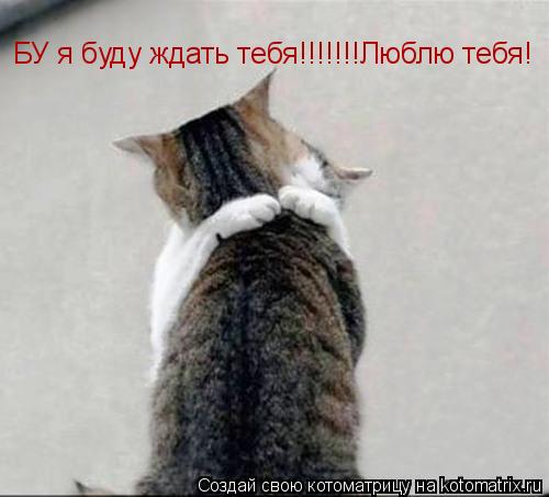 БУ я буду ждать тебя!!!!!!!Люблю тебя!... Котоматрица: БУ я буду ждать тебя!!!!!!!Люблю тебя!
