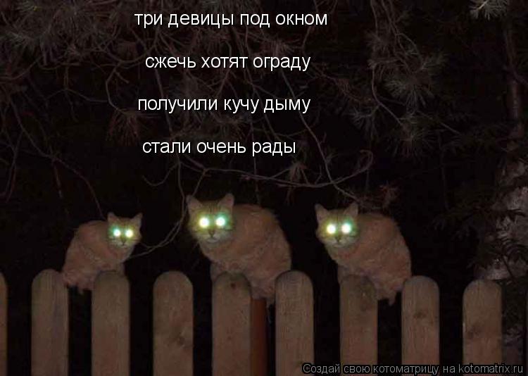 три девицы под окном сжечь хотят ограду получили кучу дыму стали очень рады... Котоматрица: три девицы под окном сжечь хотят ограду получили кучу дыму стали очень рады