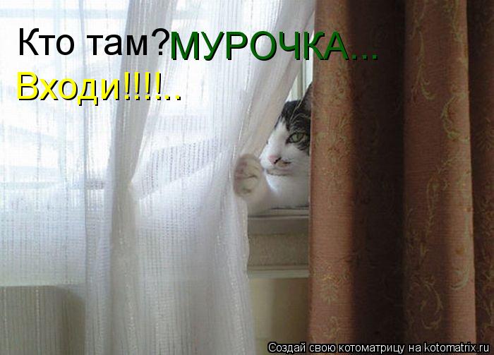 Кто там? МУРОЧКА... Входи!!!!..... Котоматрица: Кто там? МУРОЧКА... Входи!!!!..