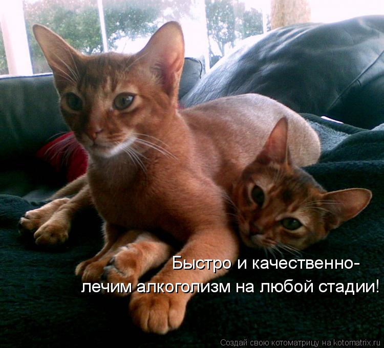 Быстро и качественно- лечим алкоголизм на любой стадии!... Котоматрица: Быстро и качественно- лечим алкоголизм на любой стадии!