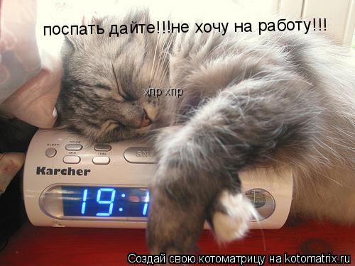 поспать дайте!!!не хочу на работу!!! хпр хпр... Котоматрица: поспать дайте!!!не хочу на работу!!! хпр хпр