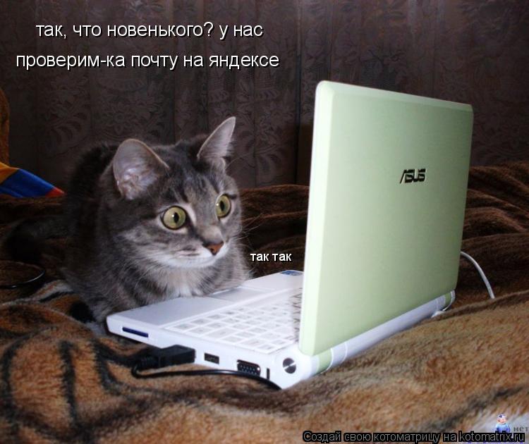 так, что новенького? у нас проверим-ка почту на яндексе так так... Котоматрица: так, что новенького? у нас проверим-ка почту на яндексе так так