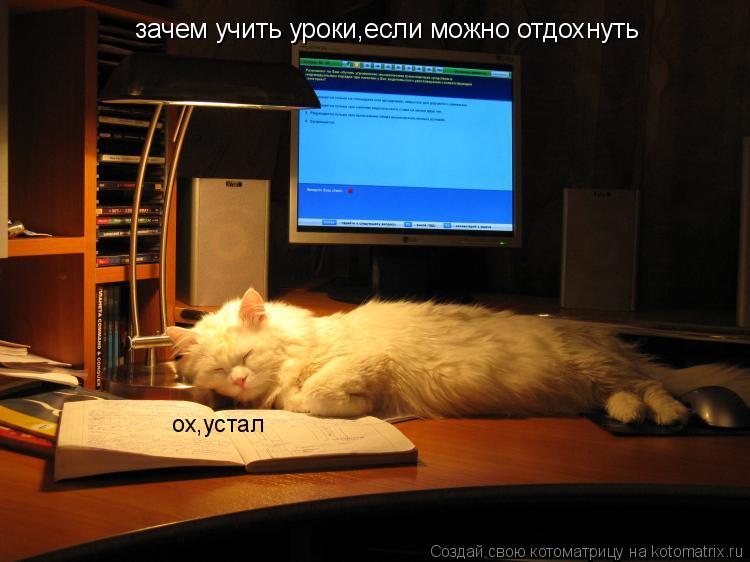 зачем учить уроки,если можно отдохнуть ох,устал... Котоматрица: зачем учить уроки,если можно отдохнуть ох,устал