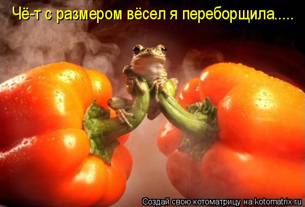 Котоматрица: Чё-т с размером вёсел я переборщила.....