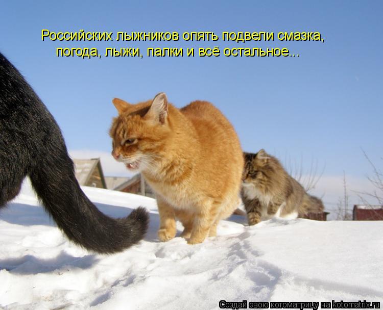 Котоматрица: Российских лыжников опять подвели смазка, погода, лыжи, палки и всё остальное...