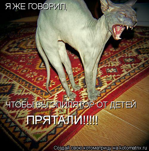 Котоматрица: Я ЖЕ ГОВОРИЛ, ЧТОБЫ ВЫ ЭПИЛЯТОР ОТ ДЕТЕЙ ПРЯТАЛИ!!!!! Я ЖЕ ГОВОРИЛ, ЧТОБЫ ВЫ ЭПИЛЯТОР ОТ ДЕТЕЙ ПРЯТАЛИ!!!!! Я ЖЕ ГОВОРИЛ,  ЧТОБЫ ВЫ ЭПИЛЯТОР ОТ ДЕТ