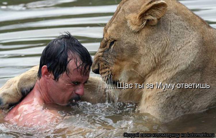 Котоматрица: ......Щас ты за Муму ответишь