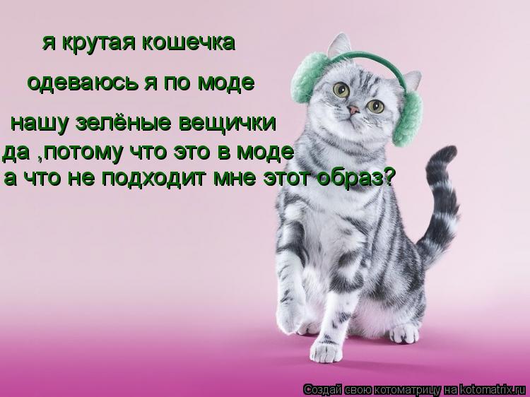 Котоматрица: я крутая кошечка одеваюсь я по моде нашу зелёные вещички да ,потому что это в моде а что не подходит мне этот образ?