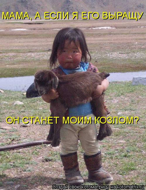 Котоматрица: МАМА, А ЕСЛИ Я ЕГО ВЫРАЩУ ОН СТАНЕТ МОИМ КОЗЛОМ?
