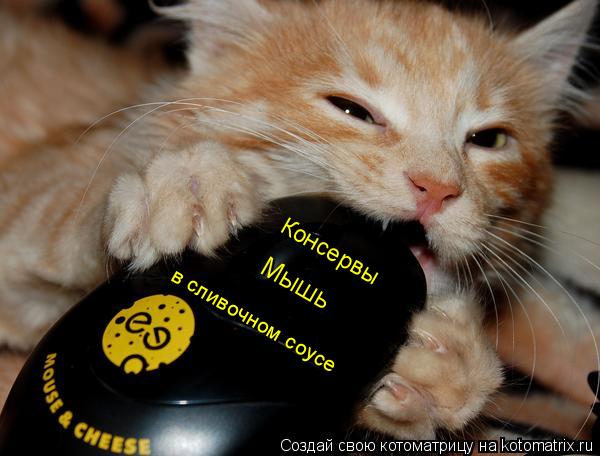 Котоматрица: Консервы Мышь в сливочном соусе