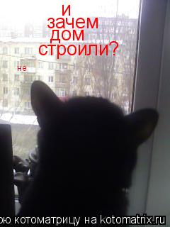 Котоматрица: и  зачем строили? дом не