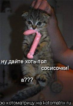 Котоматрица: ну дайте хоть пол  сосисочки! а???