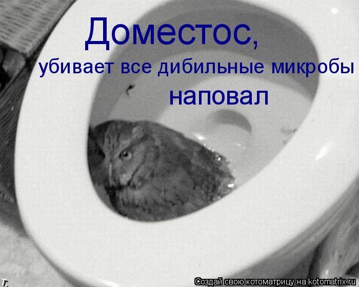 Котоматрица: Доместос, убивает все дибильные микробы наповал