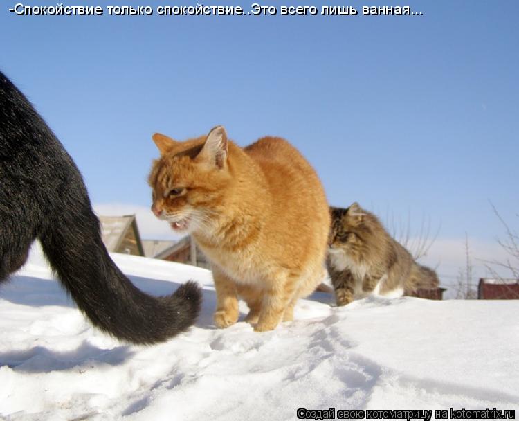 Котоматрица: -Спокойствие только спокойствие..Это всего лишь ванная...