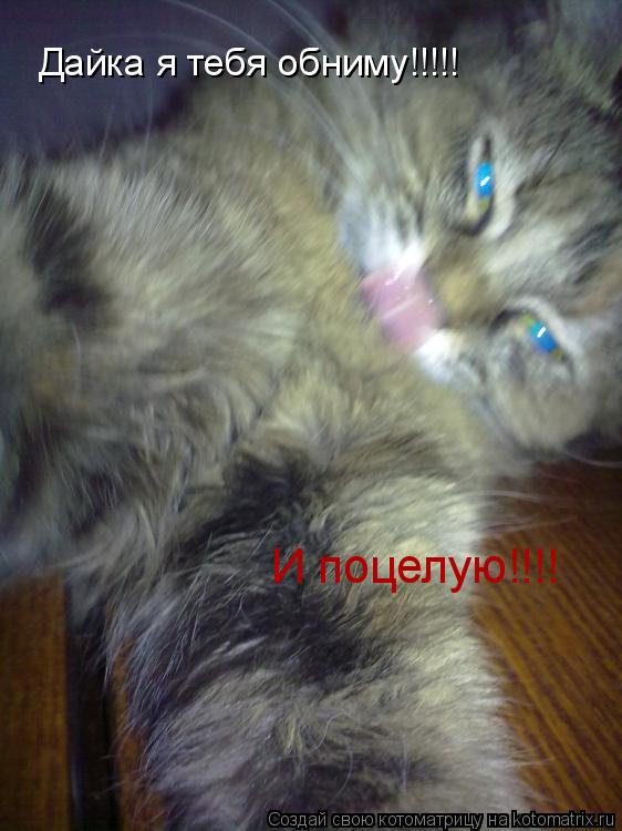 Котоматрица: Дайка я тебя обниму!!!!!  И поцелую!!!!