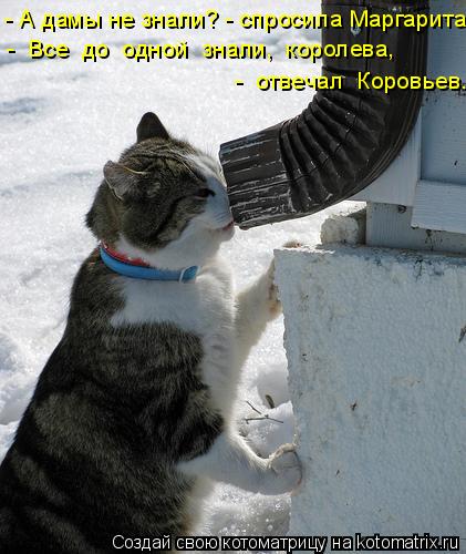 Котоматрица: - А дамы не знали? - спросила Маргарита. -  Все  до  одной  знали,  королева,  -  отвечал  Коровьев.