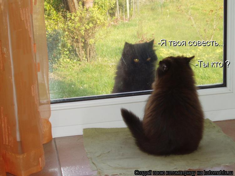 Котоматрица: -Ты кто ? -Я твоя совесть...