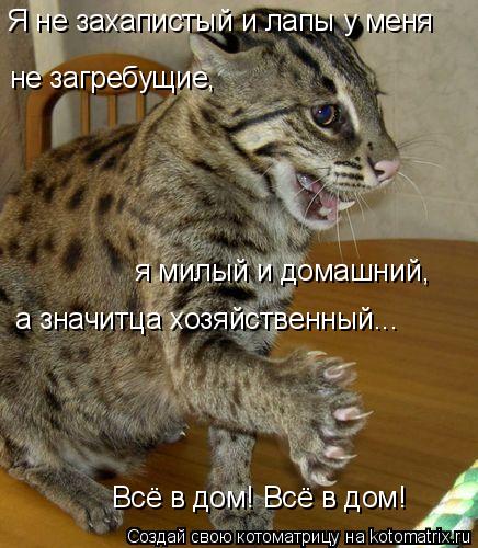 Котоматрица: Я не захапистый и лапы у меня не загребущие, я милый и домашний, а значитца хозяйственный... Всё в дом! Всё в дом!