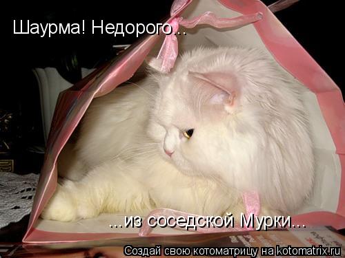 Котоматрица: Шаурма! Недорого... ...из соседской Мурки...