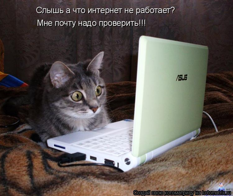 Котоматрица: Слышь а что интернет не работает? Мне почту надо проверить!!!