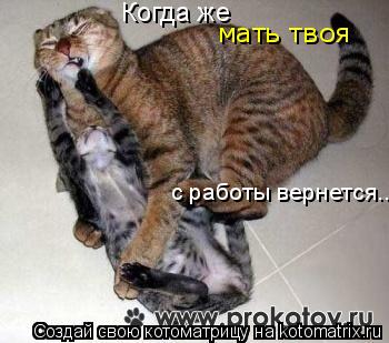 Когда же с работы вернется... мать твоя... Котоматрица: Когда же с работы вернется... мать твоя