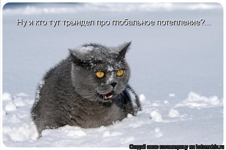 Котоматрица: Ну и кто тут трындел про глобальное потепление?...
