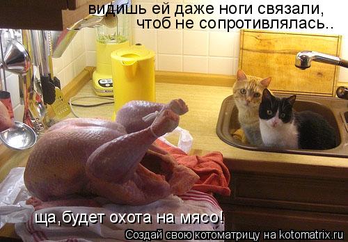 Котоматрица: видишь ей даже ноги связали, чтоб не сопротивлялась.. ща,будет охота на мясо!