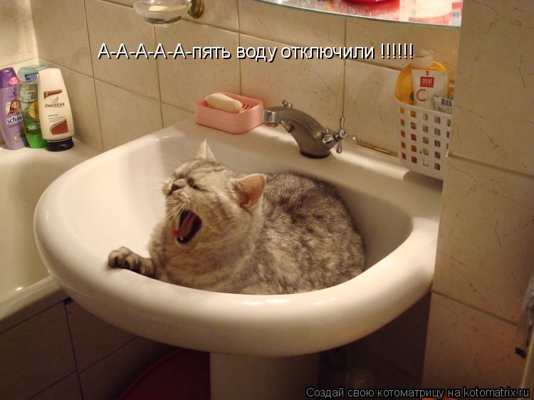 Котоматрица: А-А-А-А-А-пять воду отключили !!!!!!