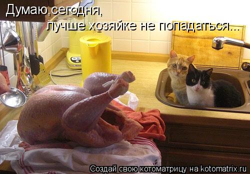 Котоматрица: Думаю,сегодня, лучше хозяйке не попадаться...
