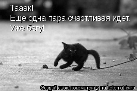 Котоматрица: Тааак!  Еще одна пара счастливая идет. Уже бегу!