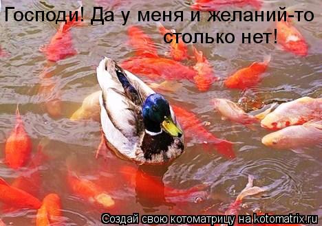Котоматрица: Господи! Да у меня и желаний-то столько нет!