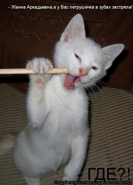 Котоматрица: - Жанна Аркадьевна,а у Вас петрушечка в зубах застряла! - ГДЕ?!