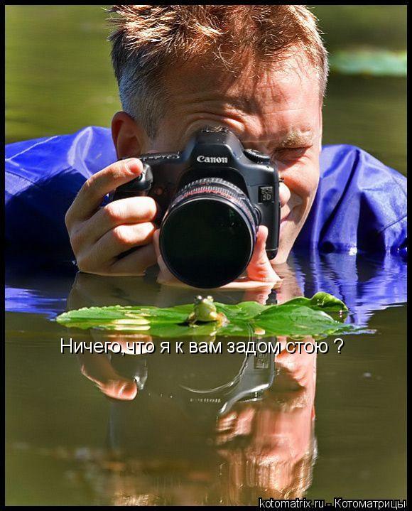Котоматрица: Ничего,что я к вам задом стою ?