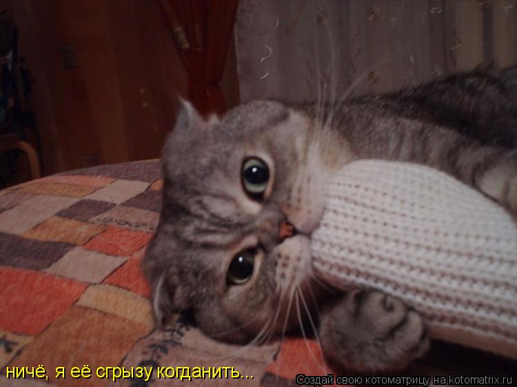 Котоматрица: ничё, я её сгрызу когданить...