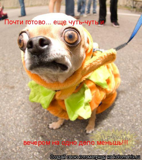 Котоматрица: Почти готово... еще чуть-чуть и  вечером на одно дело меньшь!!!